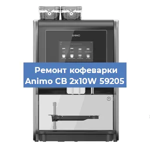 Чистка кофемашины Animo CB 2x10W 59205 от накипи в Новосибирске